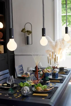 PACK LAMPE H.24 ET SANGLE DE SUSPENSION