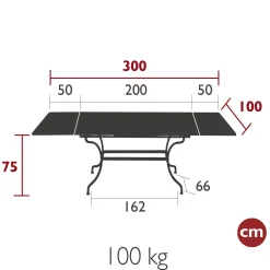 TABLE À ALLONGES 200/300 X 100 CM