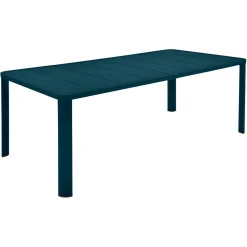 TABLE 205 X 100 CM
