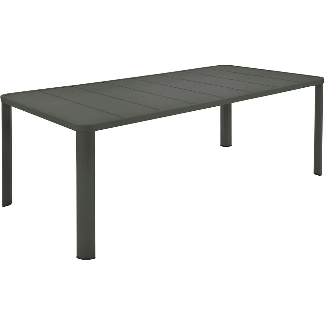 TABLE 205 X 100 CM