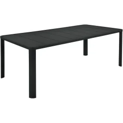 TABLE 205 X 100 CM