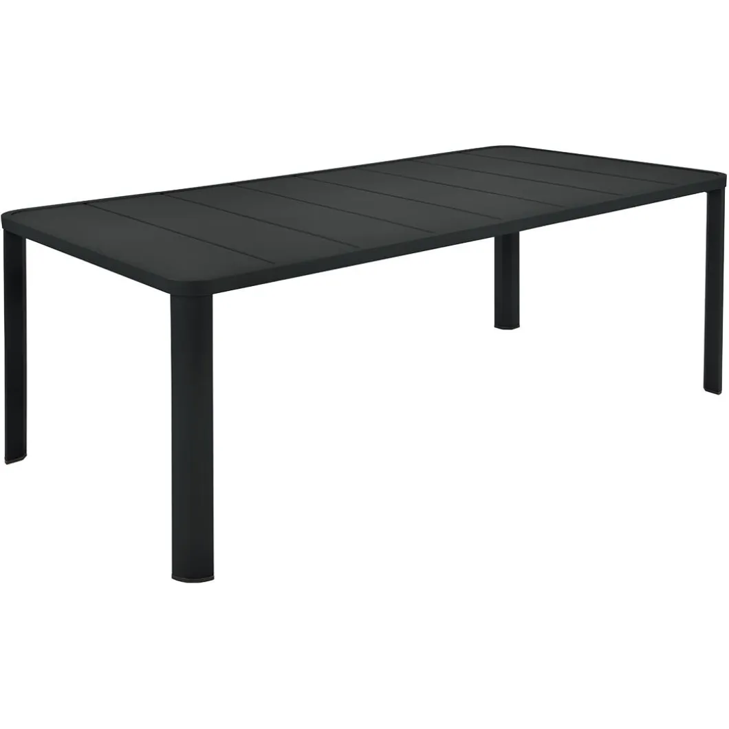 TABLE 205 X 100 CM