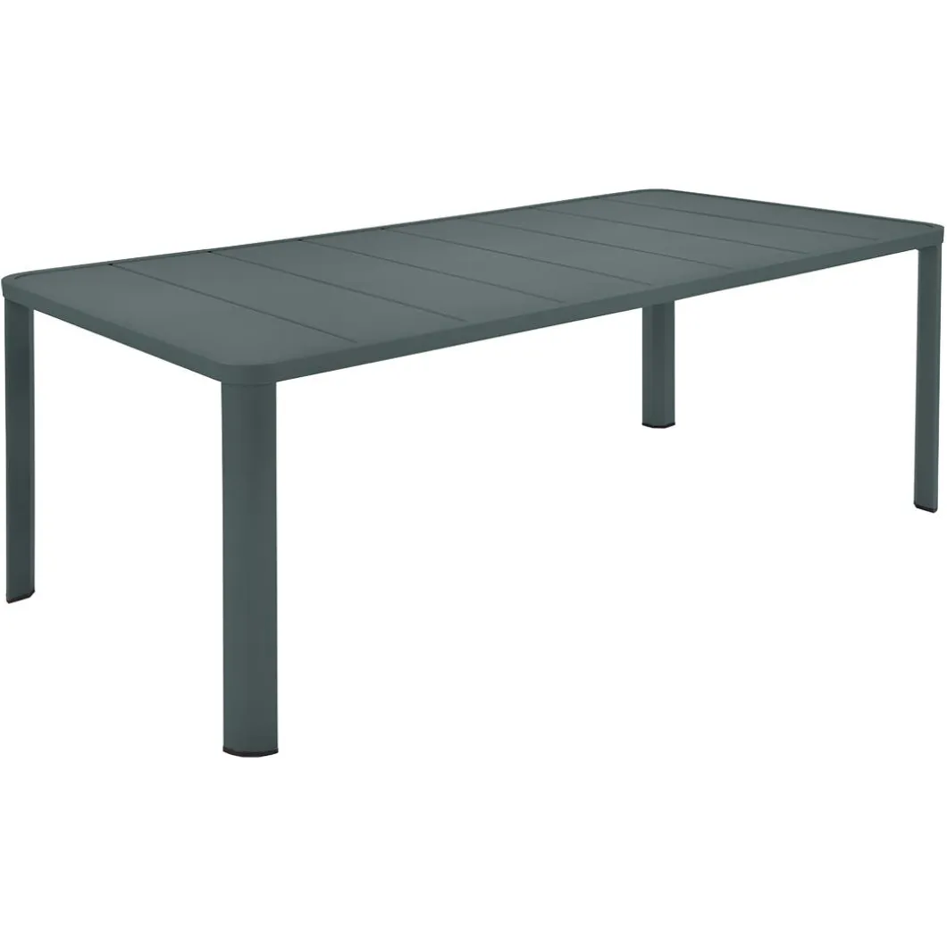 TABLE 205 X 100 CM